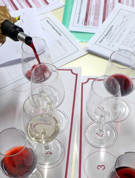 Immagine di CORSO DI AVVICINAMENTO AL VINO  2024 - 5 INCONTRI